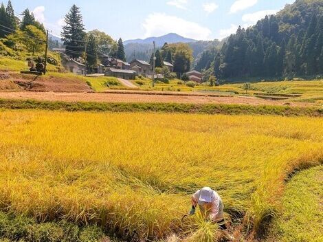 立山町