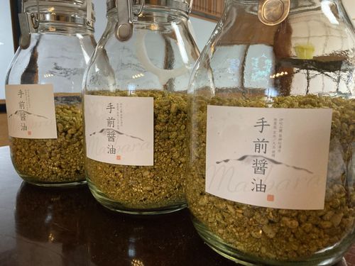 出来上がったばかりの抹茶色の醤油麹