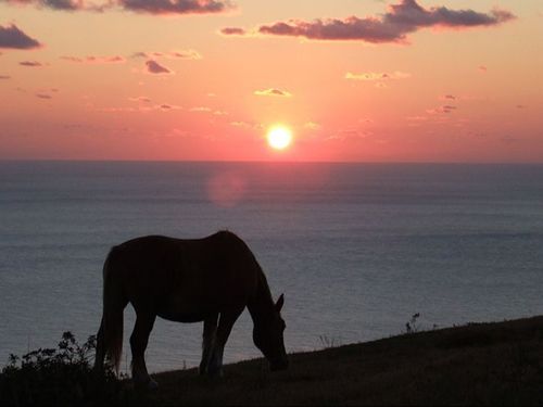 隠岐を代表する景勝地「国賀海岸」を一望できる赤尾展望所で夕日も見学予定