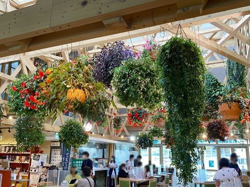 飯舘村：道の駅までい館