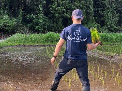 田植え