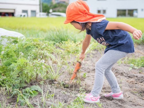 移住1年目は無料で使える市民農園！