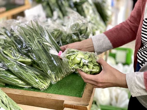 観光と町の暮らしが交わる場所