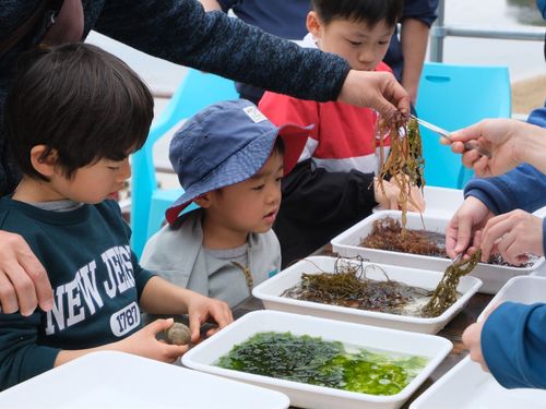 海藻押葉体験に参加する子どもたち