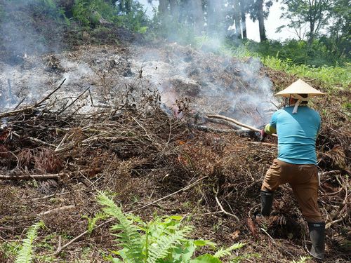 全国でも数少ない焼畑文化が残っており、継承活動も重要な任務です。