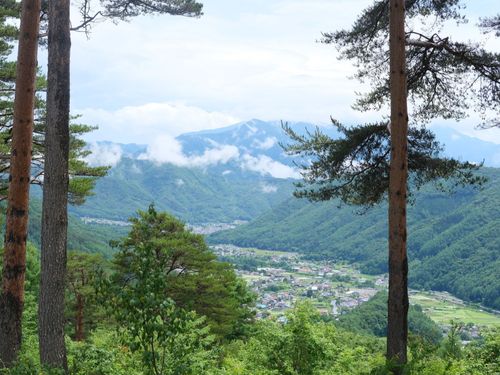 山間の木曽地域の暮らしは山の恵とともにある