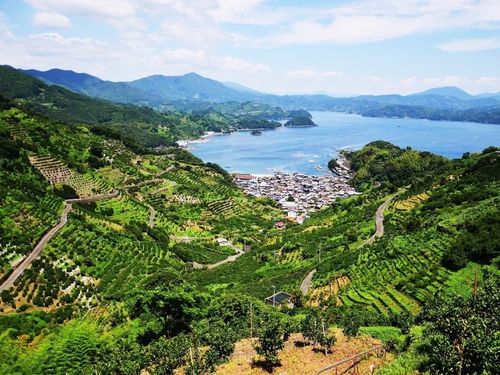 海も山も、里山の風景も楽しめる西予市（えひめ移住ネットより）