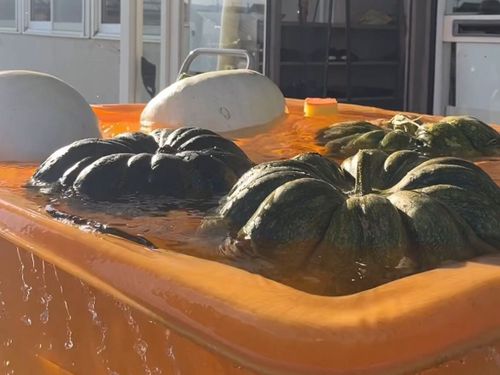 いい湯だな～♨