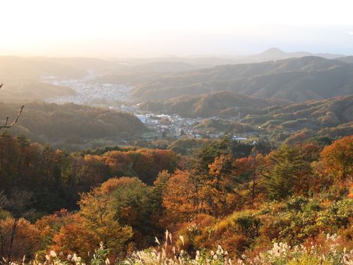 【峠の森公園】秋の紅葉を一望できる公園