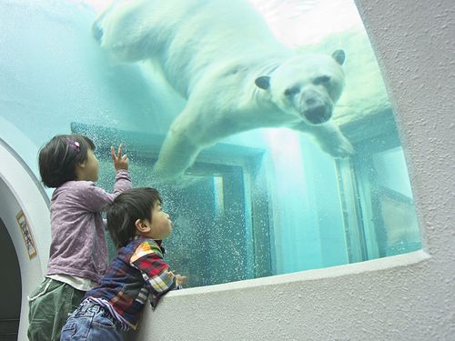 動物園で楽しむお子様との休日🐻