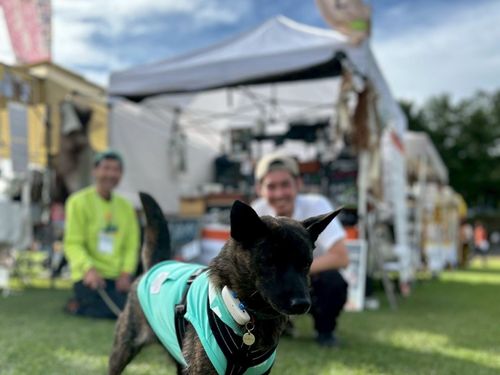 鹿商品を犬のイベントへ出店している時の様子（犬好きな方も大歓迎です♪）