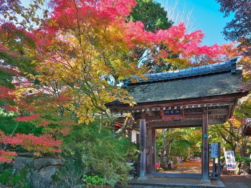 歴史的建造物も全国でトップクラスにあります。