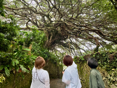 休日は島を散策