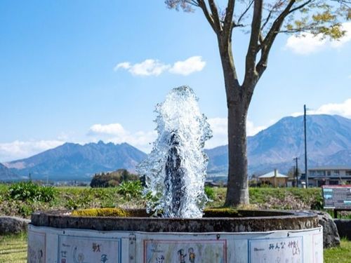 阿蘇は水がきれいで豊富です。（自噴式の湧き水）