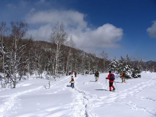 冬はウインタースポーツを楽しむこともできます