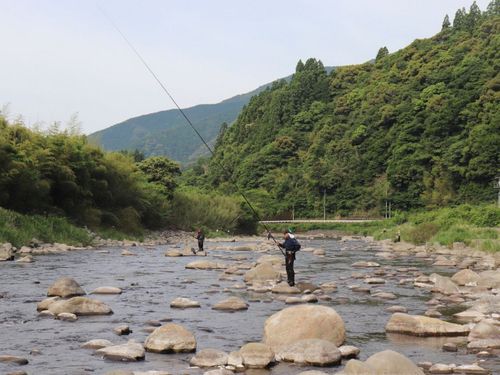 シーズンになると県内外から鮎釣り客が訪れます