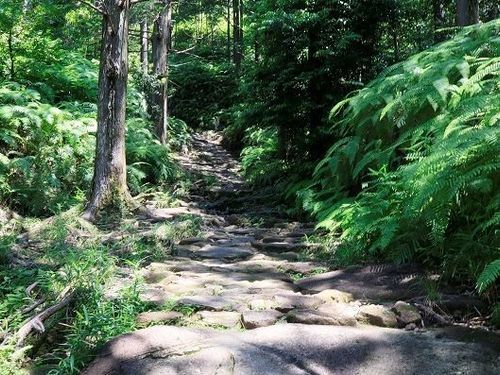 世界遺産熊野古道馬越峠の石畳は伊勢路随一の美しさを誇る