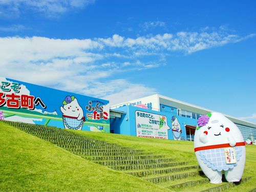 多くの方が訪れる道の駅多古「あじさい館」とふっくらたまこさんです！