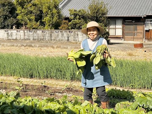とれたて野菜のお惣菜おすそわけします