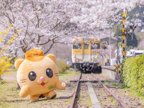 安野花の駅公園内の「キハ58」