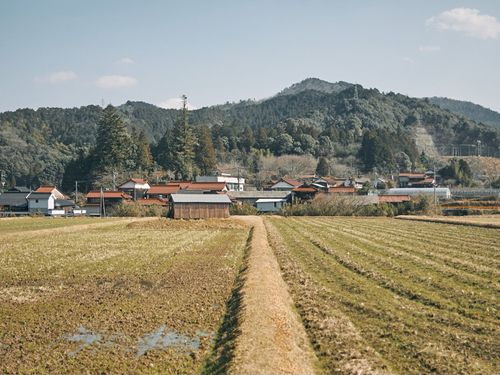 明木の田園風景