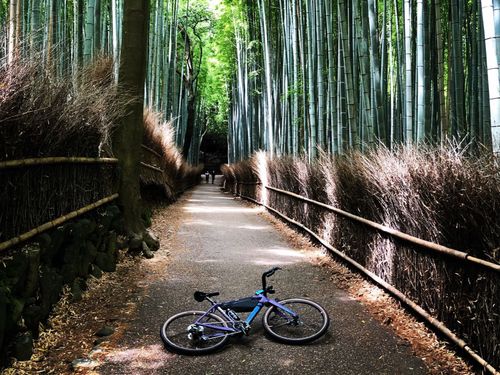 出勤前には、存分に京都の自然を感じてリフレッシュできます。