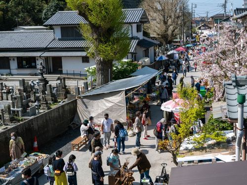 430年以上の歴史をもつ「勝浦朝市」