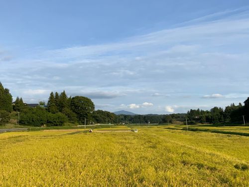 秋の田園風景