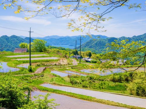 山間部には美しい田園風景が残っています