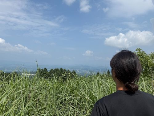 高原町遠望