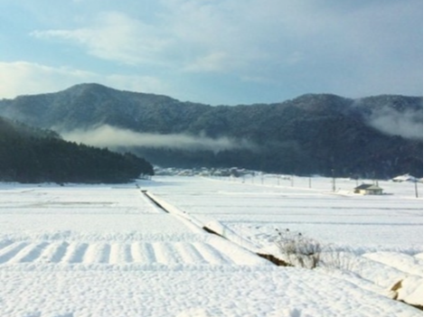 西浅井地域の雪景色
