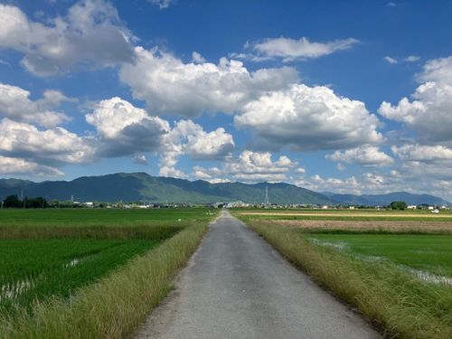 1 本道を自転車で駆け抜けるのが気持ちいいそうです。