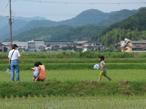 北部エリア