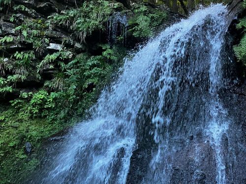 富士山の麓で豊かな水に恵まれ、最高水質の水道水が全国トップクラスの安さです