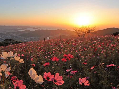 有田地域の魅力写真📸①