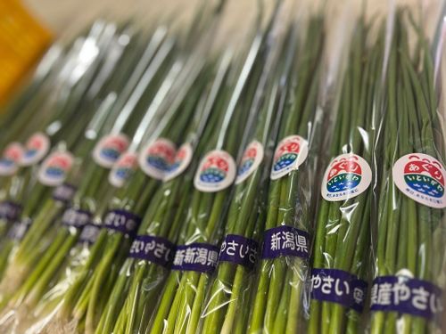 ひとつひとつ丁寧に袋詰めした野菜が、お店に並びます。
