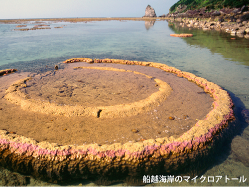 海水浴などスノーケリングが楽しめる船越海岸。マイクロアトール（小さな環礁）も。