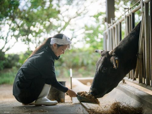 農畜産物の生産（1次）、食品加工（2次）、流通販売（3次）まで一貫して手掛ける
