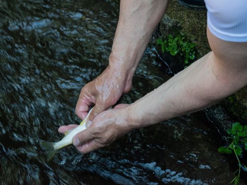 宿の目の前を流れる水路には生簀があり、川魚をその場でシメて調理しています！