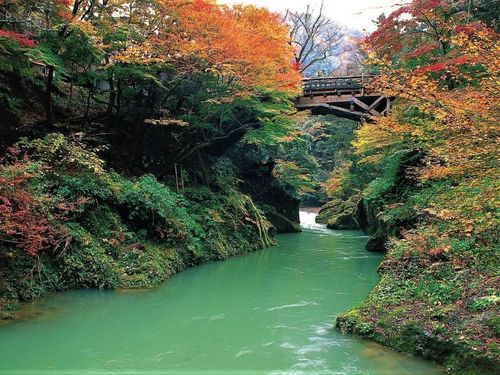 山中温泉の鶴仙渓