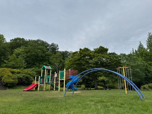 シーソーやブランコといった小さなお子さん向けの遊具も充実