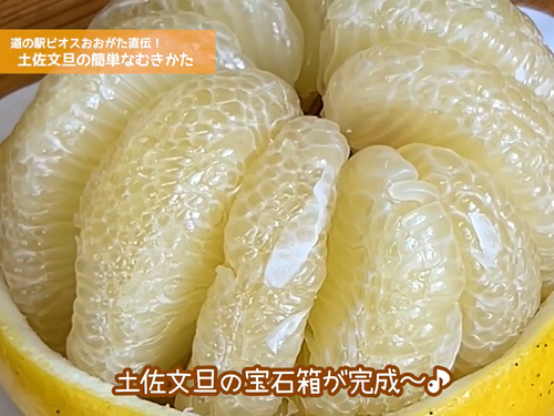 土佐文旦の宝石箱が完成～♪