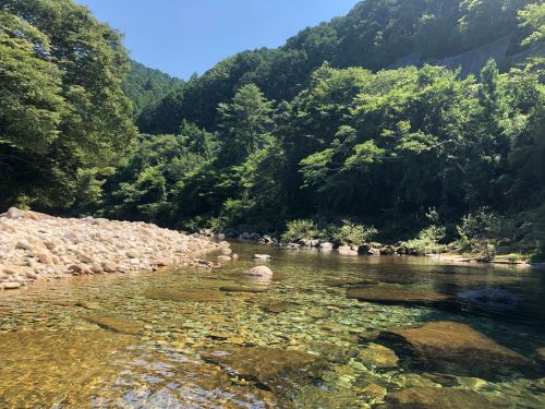 夏の暑さは川で乗り越える！