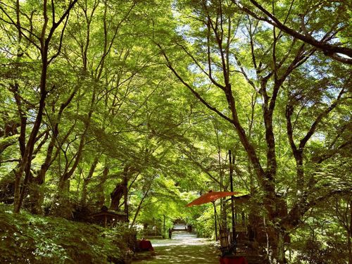 山門から本堂につづく参道
