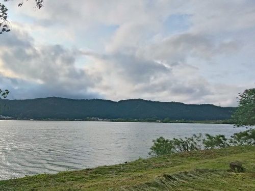 道路挟んだ反対側は綺麗な余呉湖