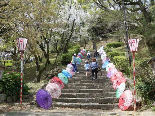 城址では春にもイベント（桜まつり）を開催。