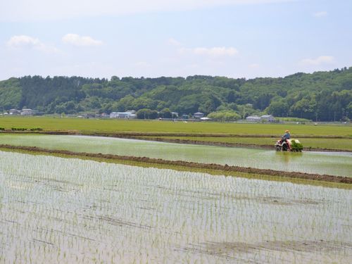 山や田畑に囲まれた、のんびりとした空気のある町です
