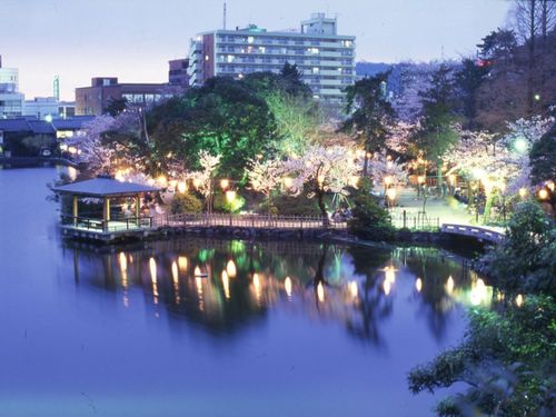 夜はライトアップされ、昼とは違う美しさ。お祭りの際には屋台も賑わいます