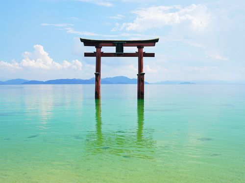 夏の白鬚神社