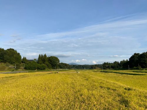 秋の田園風景